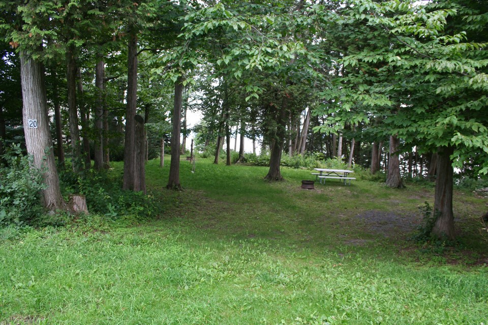 Tent Sites among the Trees
